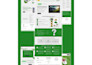 design, redesign website, business website, and wordpress website development